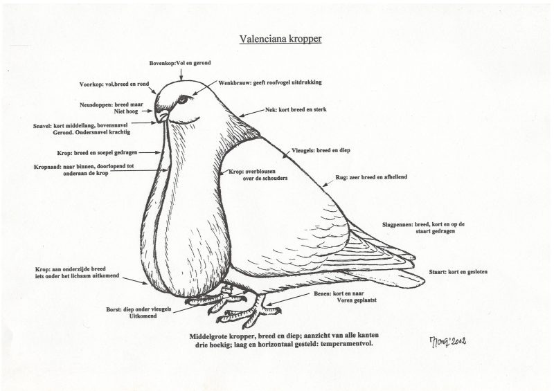 Valenciana rasstandaard